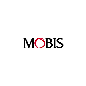Besfits/Mobis(BESF1T/MOBIS)